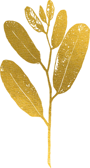 Gold Flora Plant Leaf